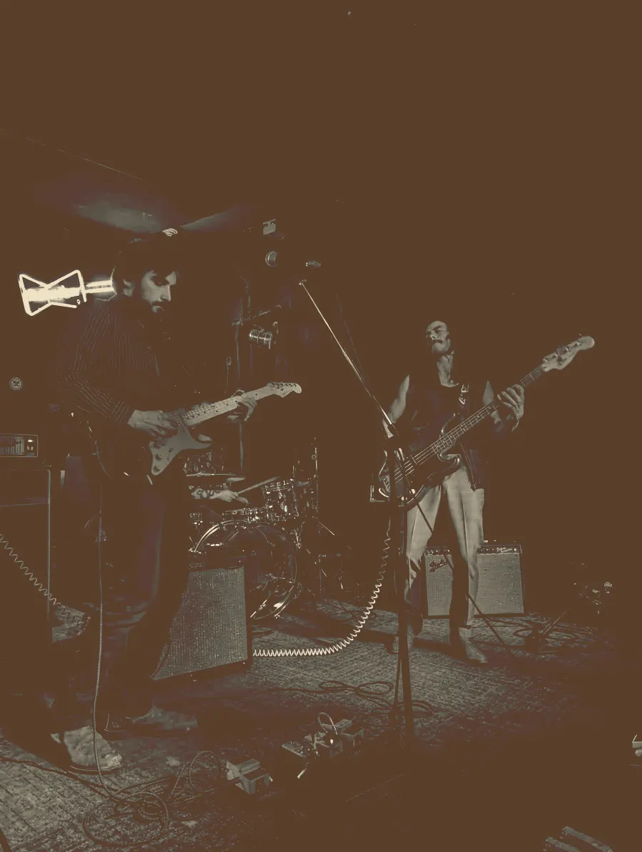 Ultracrepidarian live under blue light